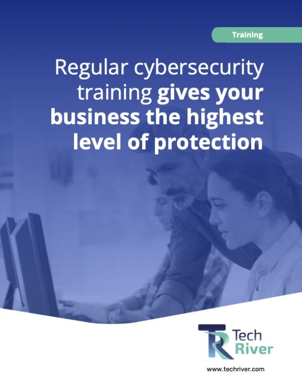 Educational Guides: Cybersecurity training